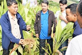 ‘Trao cần câu’ tạo sinh kế bền vững cho người dân Sông Kôn sau sáp nhập