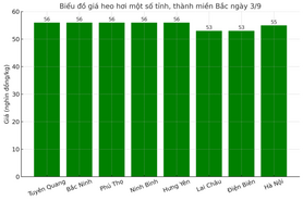Giá heo hơi hôm nay 3/9/2025: Duy trì ổn định