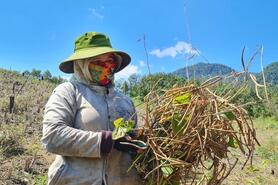Người dân Ba Lòng cùng HTX nâng giá trị nông sản bằng sản phẩm OCOP