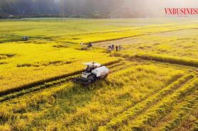 Tinh thần tự chủ, tự lực, cùng nhau làm giàu trong xây dựng nông thôn mới tỉnh Ninh Bình