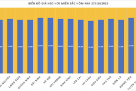 Giá heo hơi hôm nay 27/10/2025: Miền Bắc duy trì đỉnh giá