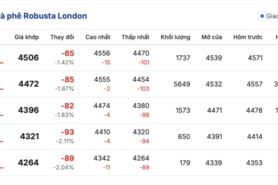 Giá cà phê hôm nay 28/10/2025: Tăng nhẹ 500 đồng/kg