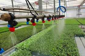 Gỡ hòn đá tảng cản bước HTX chuyển đổi số