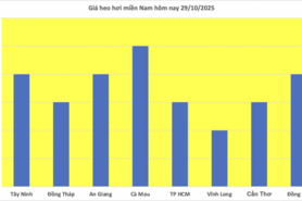 Giá heo hơi hôm nay 29/10/2025: Nhiều nơi giảm nhẹ