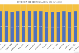 Giá heo hơi hôm nay 31/10/2025: Giảm nhẹ 1.000 đồng/kg tại miền Bắc