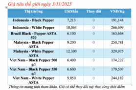 Giá tiêu hôm nay 3/11/2025: Duy trì giá cao
