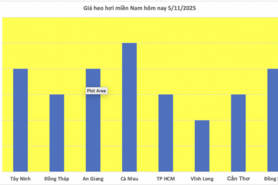 Giá heo hơi hôm nay 5/11/2025: Không ghi nhận đợt điều chỉnh mới