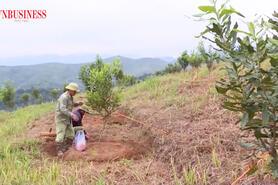 Từ nương ngô bạc màu đến bản nông thôn mới kiểu mẫu ở Điện Biên