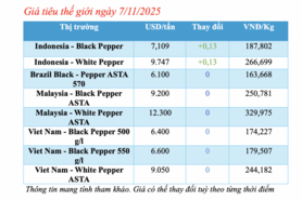 Giá tiêu hôm nay 7/11/2025: Cao nhất 147.000 đồng/kg