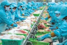 ‘Rộng đường’ cho cổ phiếu thủy sản