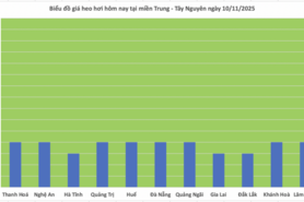 Giá heo hơi hôm nay 10/11/2025: Phiên đầu tuần lặng sóng