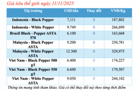 Giá tiêu hôm nay 11/11/2025: Neo ở mức cao