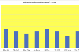 Giá heo hơi hôm nay 13/11/2025: Giảm rải rác ở miền Trung và miền Nam
