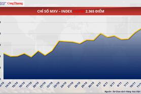 Giá cà phê Arabica giảm về dưới mốc 8.900 USD/tấn
