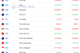 Tỷ giá USD ngày 14/11/2025: Trượt nhẹ