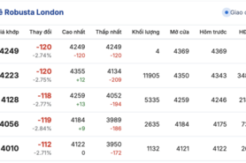 Giá cà phê hôm nay 17/11/2025: Trong nước đi ngang