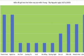Giá heo hơi hôm nay 19/11/2025: Đồng loạt tăng