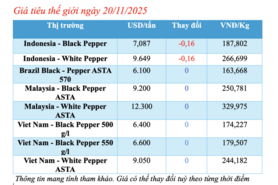 Giá tiêu hôm nay 20/11/2025: Neo ở mức cao