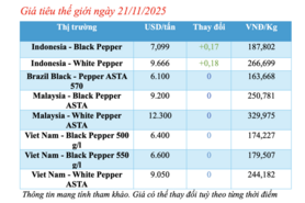 Giá tiêu hôm nay 21/11/2025: Cao nhất 146.500 đồng/kg