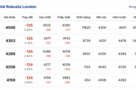 Giá cà phê hôm nay 24/11/2025: Thị trường chững lại