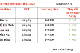 Giá tiêu hôm nay 24/11/2025: Bật tăng mạnh