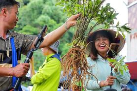 HTX chuyển đổi số từ gốc rễ