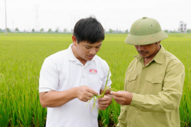 Kỹ sư thức giấc hạt giống và hành trình làm nông nghiệp xanh từ vùng chiêm trũng