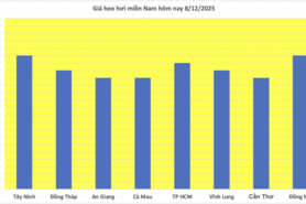 Giá heo hơi hôm nay 8/12/2025: Kéo dài đà tăng