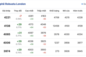 Giá cà phê hôm nay 11/12/2025: Tăng nhẹ 200 đồng