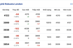 Giá cà phê hôm nay 15/12/2025: Đi ngang, duy trì mức thấp