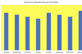 Giá heo hơi hôm nay 15/12/2015: Đi ngang