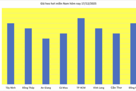 Giá heo hơi hôm nay 17/12/2025: Tiếp tục lập đỉnh mới 66.000 đồng/kg