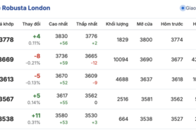 Giá cà phê hôm nay 22/12/2025: Đi ngang