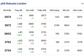 Giá cà phê hôm nay 25/12/2025: Bật tăng mạnh mẽ