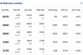 Giá cà phê hôm nay 30/12/2025: Quay đầu giảm mạnh
