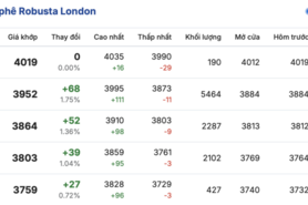 Giá cà phê hôm nay 31/12/2025: Đảo chiều tăng trở lại