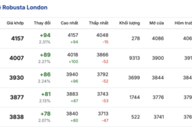 Giá cà phê hôm nay 7/1/2026: Giảm nhẹ 500 đồng/kg