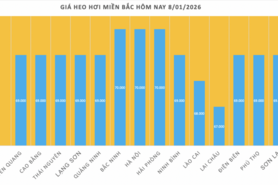 Giá heo hơi hôm nay 8/1/2026: Tăng đồng loạt trên cả nước