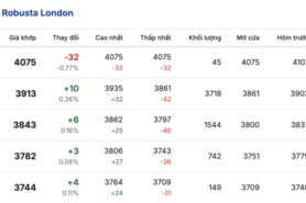 Giá cà phê hôm nay 13/1/2026: Giữ đà bình ổn