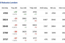 Giá cà phê hôm nay 16/1/2026: Biến động nhẹ