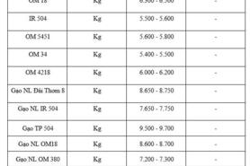 Giá lúa gạo hôm nay ngày 16/1/2026: Phụ phẩm tăng nhẹ