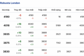 Giá cà phê hôm nay 20/1/2026: Cao nhất 99.000 đồng/kg