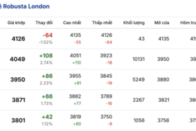 Giá cà phê hôm nay 22/01/2026: Đảo chiều giảm mạnh