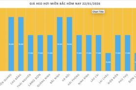 Giá heo hơi hôm nay 22/1/2026: Tiếp đà tăng, miền Bắc lập 'đỉnh' mới