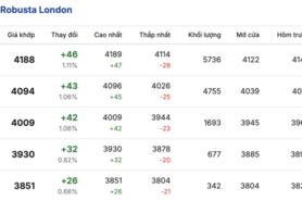 Giá cà phê hôm nay 27/1/2026: Tăng nhẹ tại Gia Lai