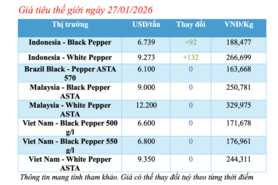 Giá tiêu hôm nay 27/1/2026: Tăng rải rác
