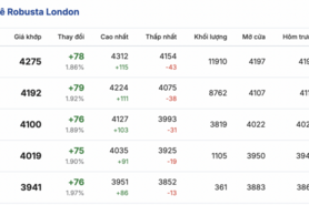 Giá cà phê hôm nay 28/1/2026: Tăng nhẹ 300 - 600 đồng/kg