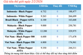 Giá tiêu hôm nay 2/2/2026: Thị trường ổn định