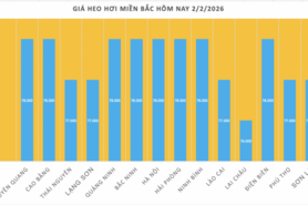 Giá heo hơi hôm nay 2/2/2026: Giảm diện rộng tại miền Bắc, miền Trung
