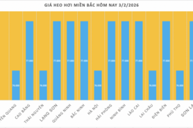 Giá heo hơi hôm nay 3/2/2026: Giảm mạnh trên cả nước